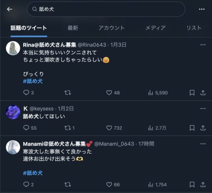 X（Twitter）で舐め犬を探す女性